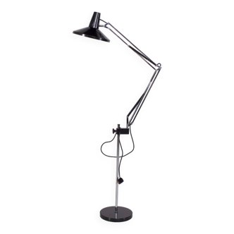 Anvia style architect lamp