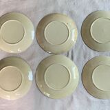 Dabbling plates decorated with roses