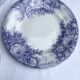 Dessert plates Sarreguemines model Jardinière 19th century