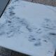 Vintage white marble coffee table