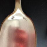 Silver-plated metal dessert cutlery ag