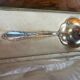 Silver strawberry shovel