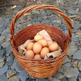 Round raw wicker basket