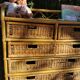 Rattan chest of drawers