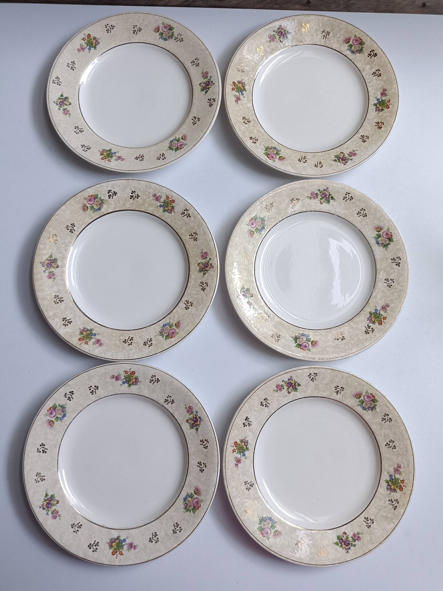 Set of 6 flat plates Salins model Simone beige with flowers.