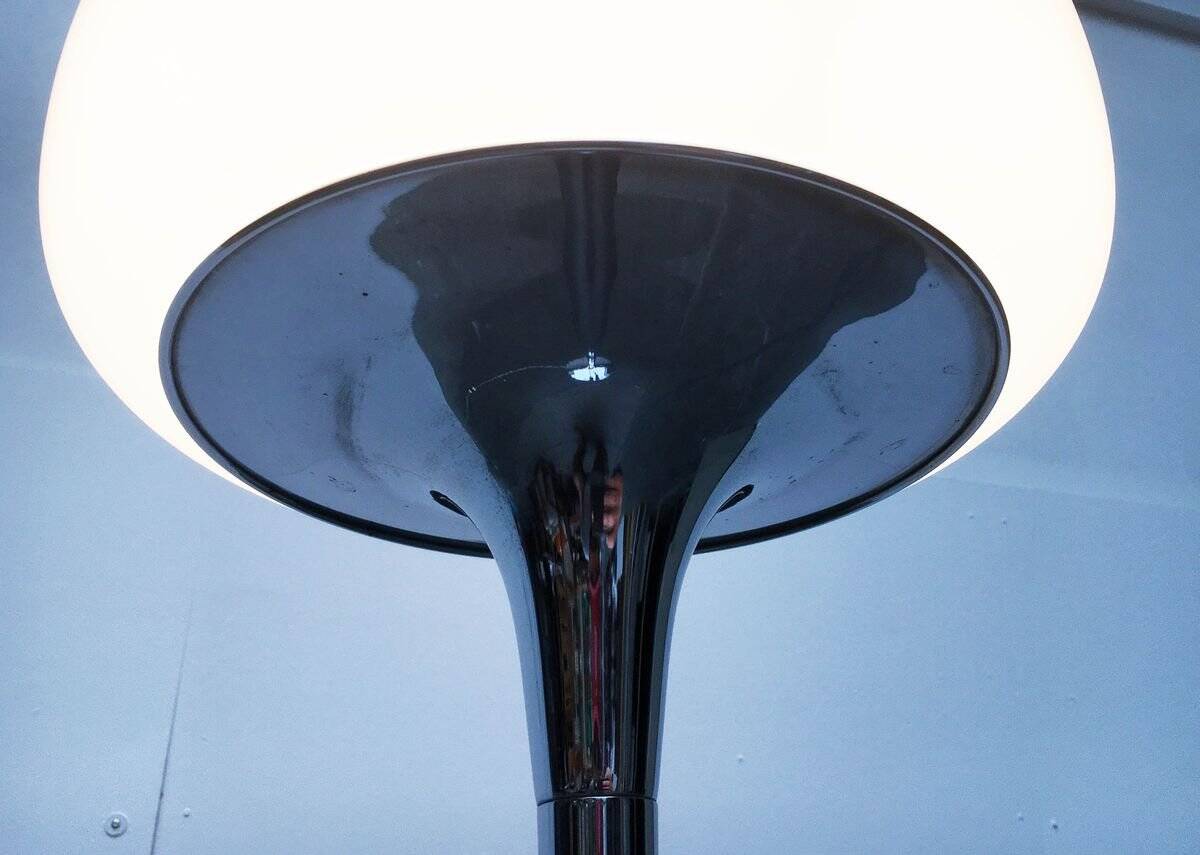 Mid-century Italian floor lamp by Goffredo Reggiani for Reggiani.