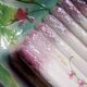 St Clément France majolica asparagus tray in slip
