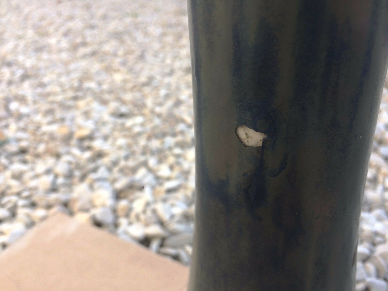 Mushroom vase year 30