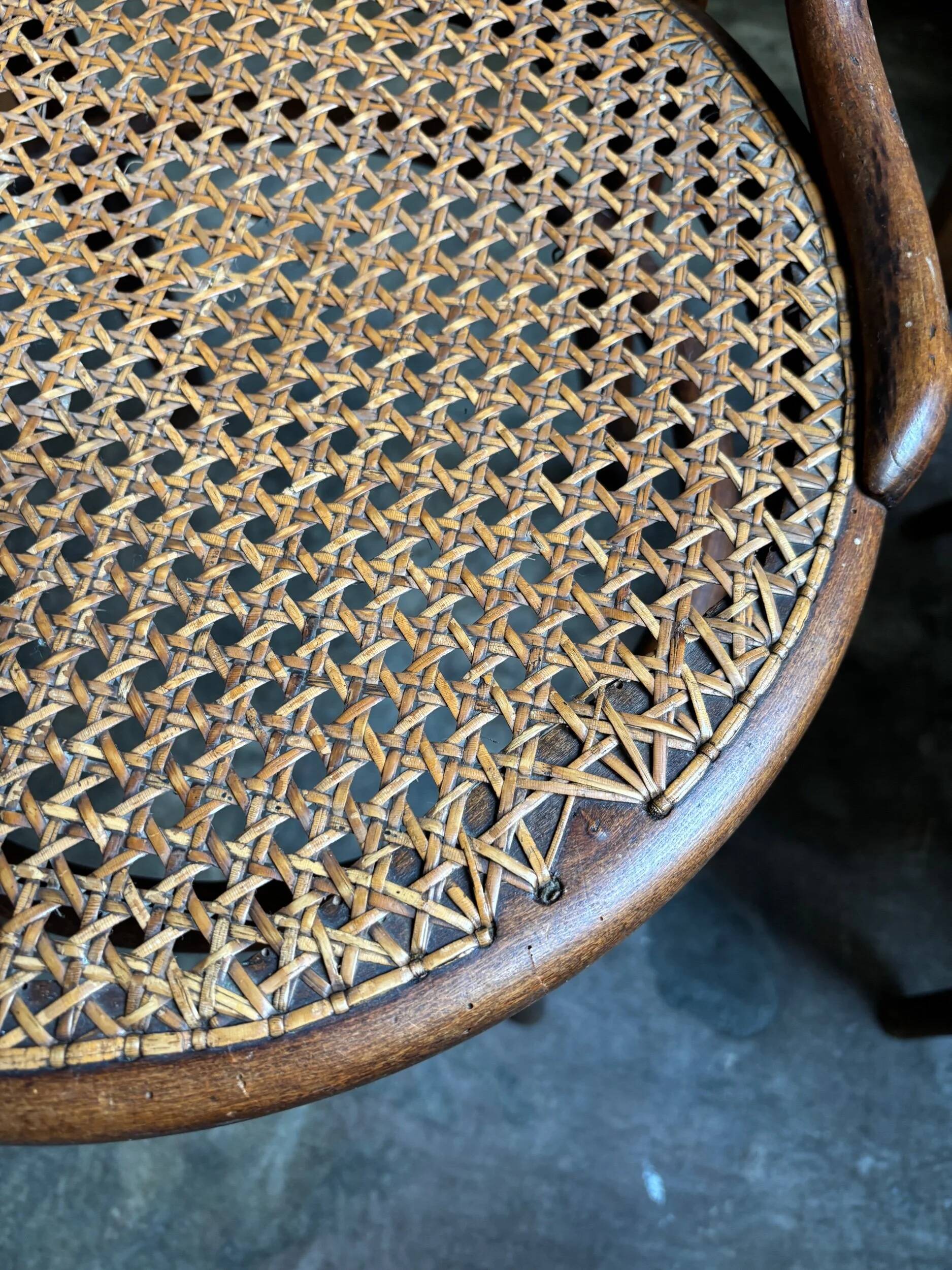 2 Thonet chairs no. 31 in bent beech and caning