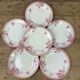 Lot of 6 plates in porcelain of Gien model Pomponnette