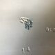 Ancien plat terre de fer Longchamp