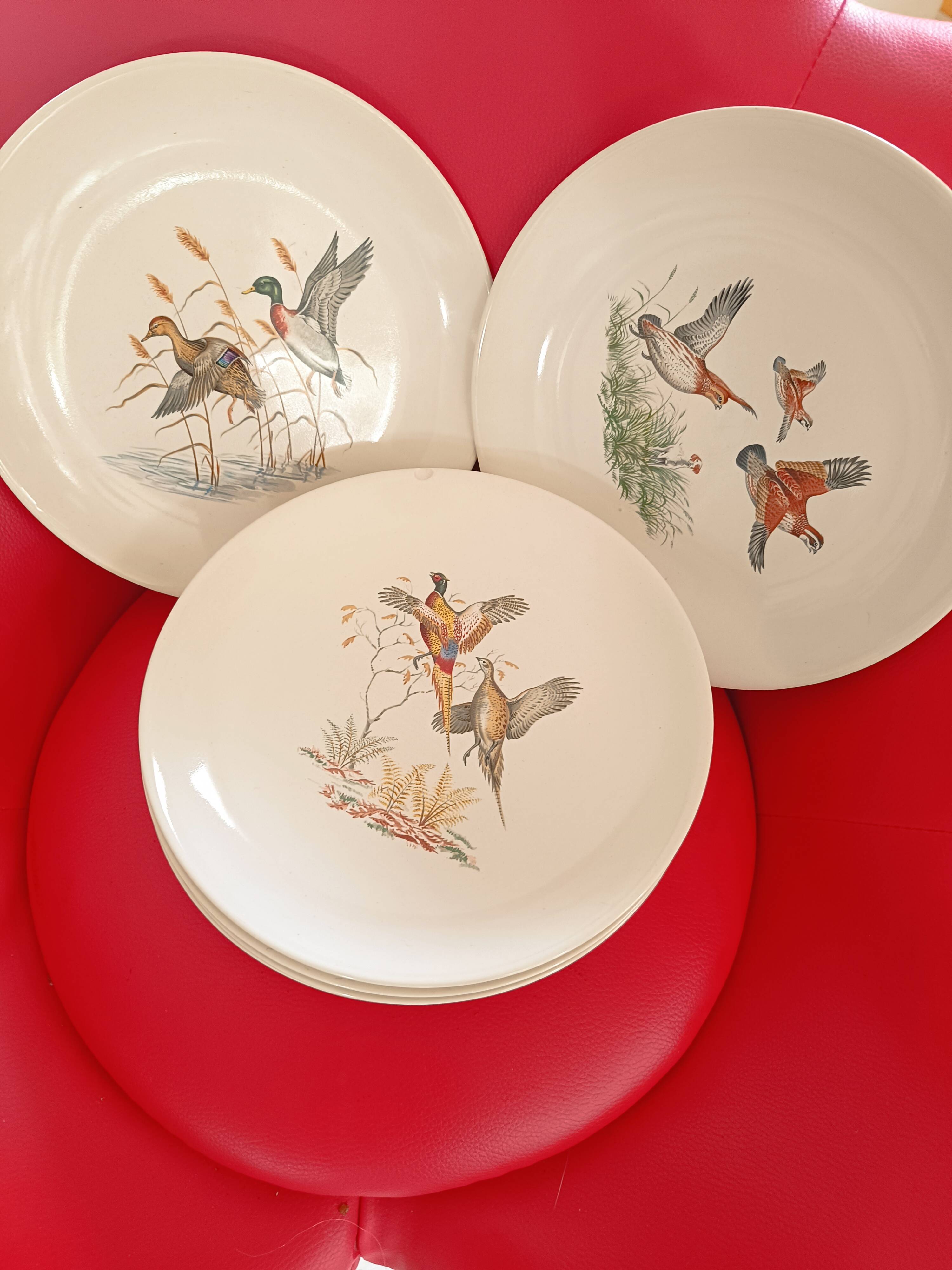 6 Villeroy and Boch dinner plates. Bird pattern.