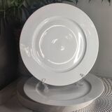Oxford porcelain dinner plates