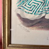 Engraving "Illustrated fashion" Anaïs Toudouze