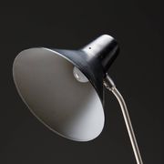 Tivoli Floor Lamp - Floris Fiedeldij