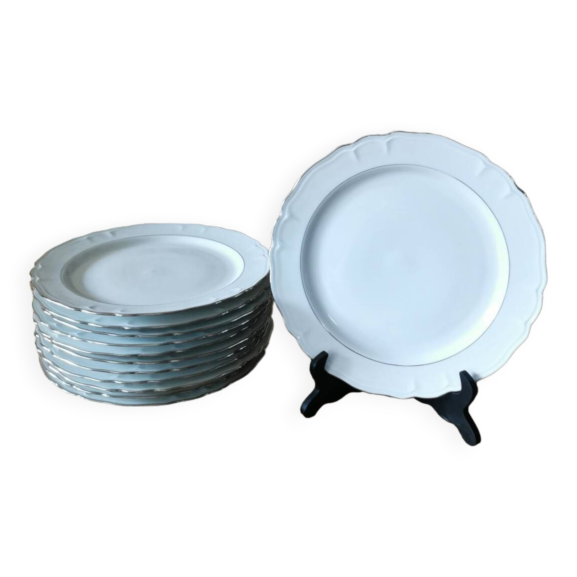 6 Limoges porcelain dinner plates