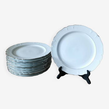 6 Limoges porcelain dinner plates
