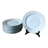 6 Assiettes plates en porcelaine de Limoges