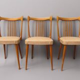 Mid-Century Dutch Organic Design Chairs from Stevens, 1950s, Set of 3