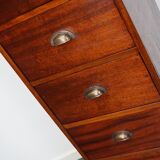 Dutch Industrial Mahogany Apothecary Cabinet, Mid-20th Century