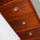 Dutch Industrial Mahogany Apothecary Cabinet, Mid-20th Century