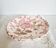 2 coupelles ou sous-tasse Rose Chintz Johnson Bros