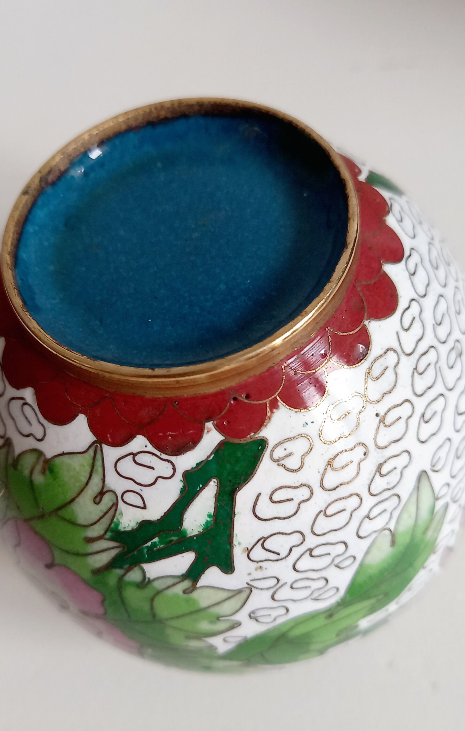 Partitioned ginger pot