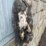 Bust sculpture Jean GAUTHERIN (1840 – 1890)