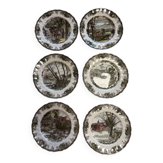 Assiettes plates anglaises