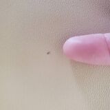 Beige leather armchair