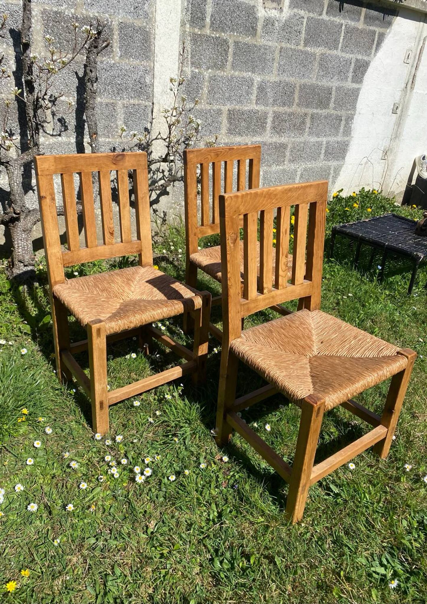 Three brutalist wooden chairs in elm from the 80s.