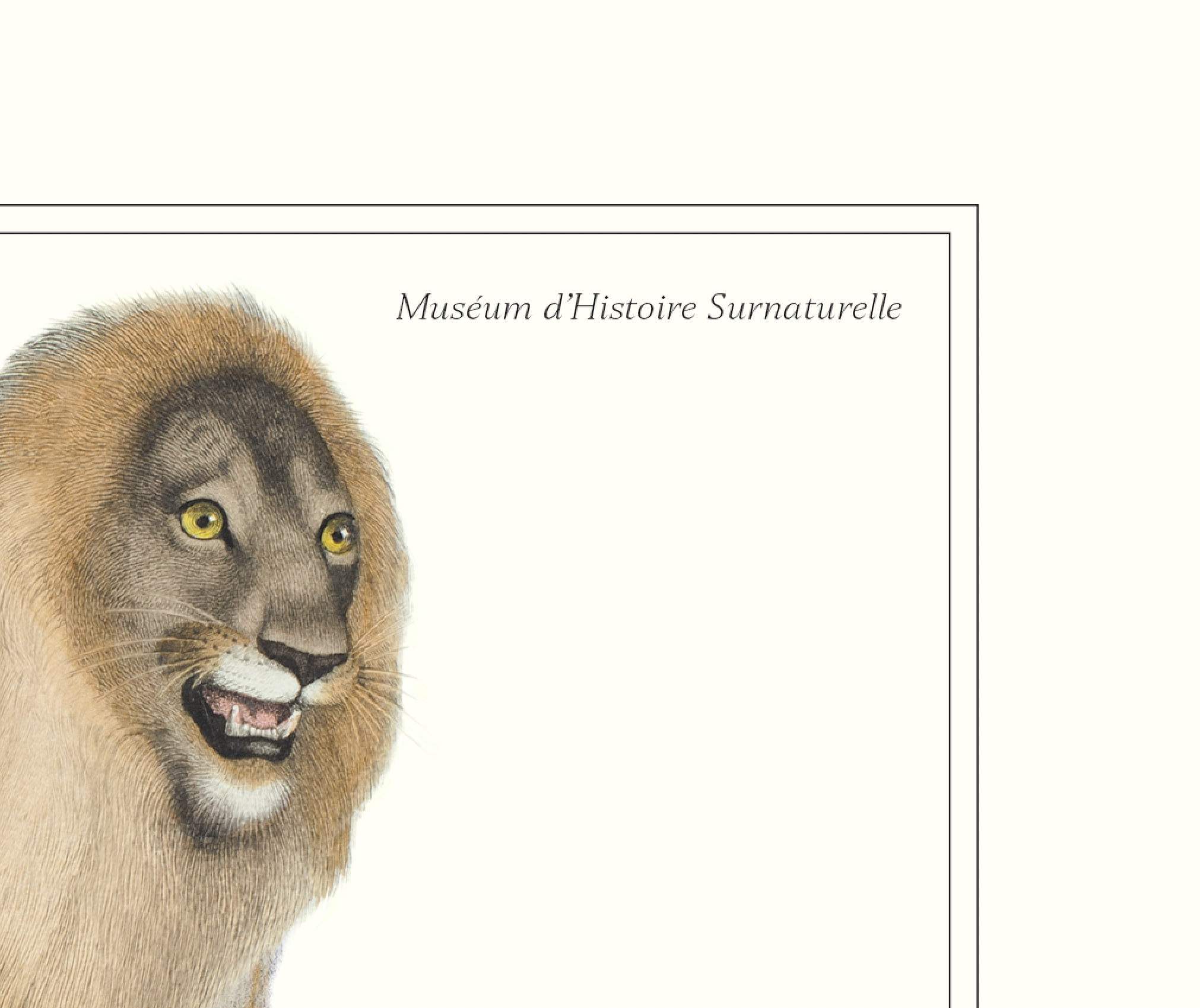 Lithograph engraving animal chimera - the mirilion