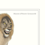 Lithograph engraving animal chimera - the mirilion