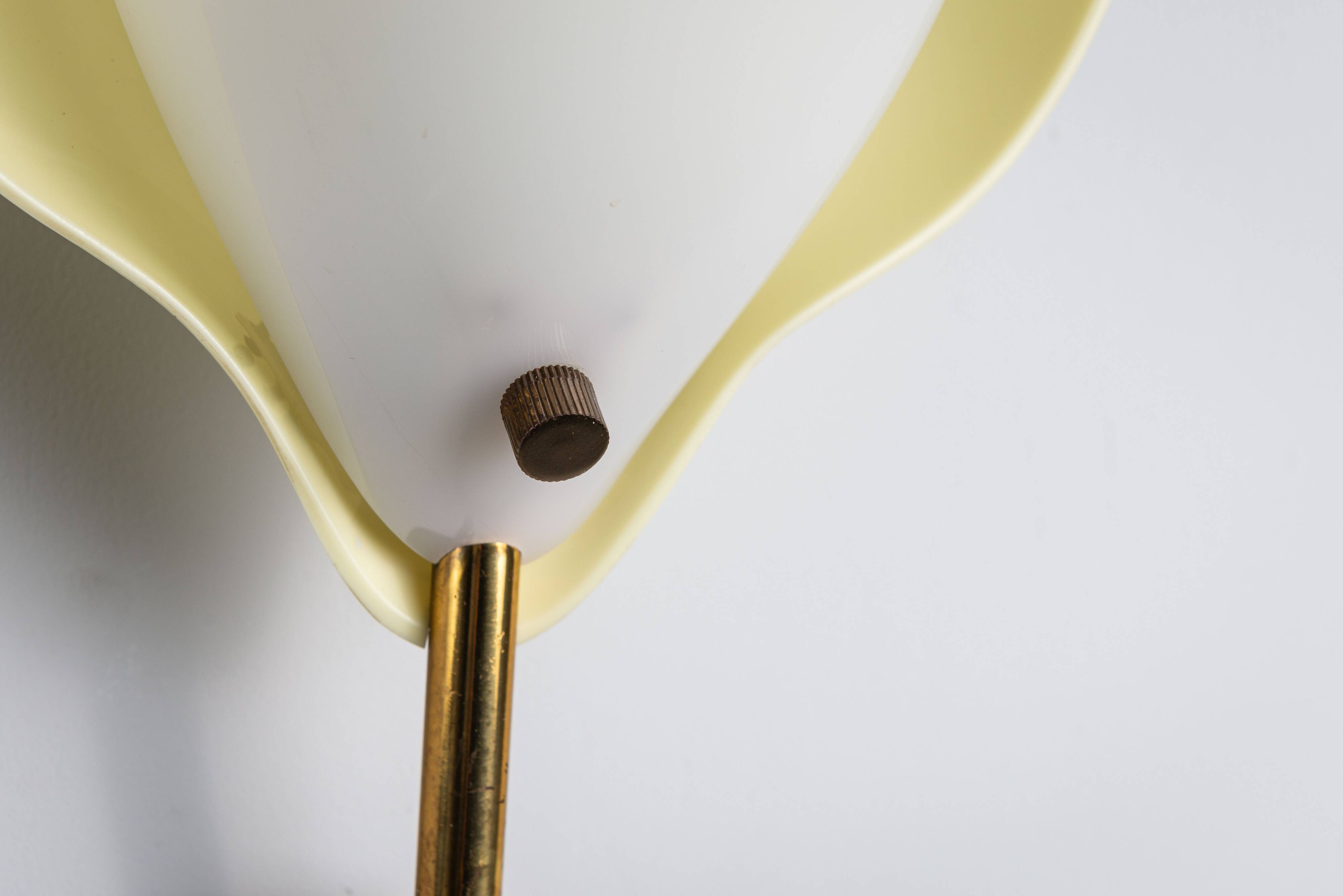 Applique Arnold Wiigs en plastique et laiton