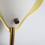 Applique Arnold Wiigs en plastique et laiton