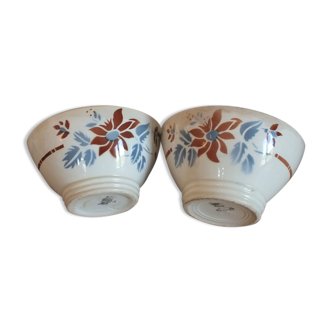 2 vintage bowls in Digoin Sarreguemines earthenware, decoration flowers 50s