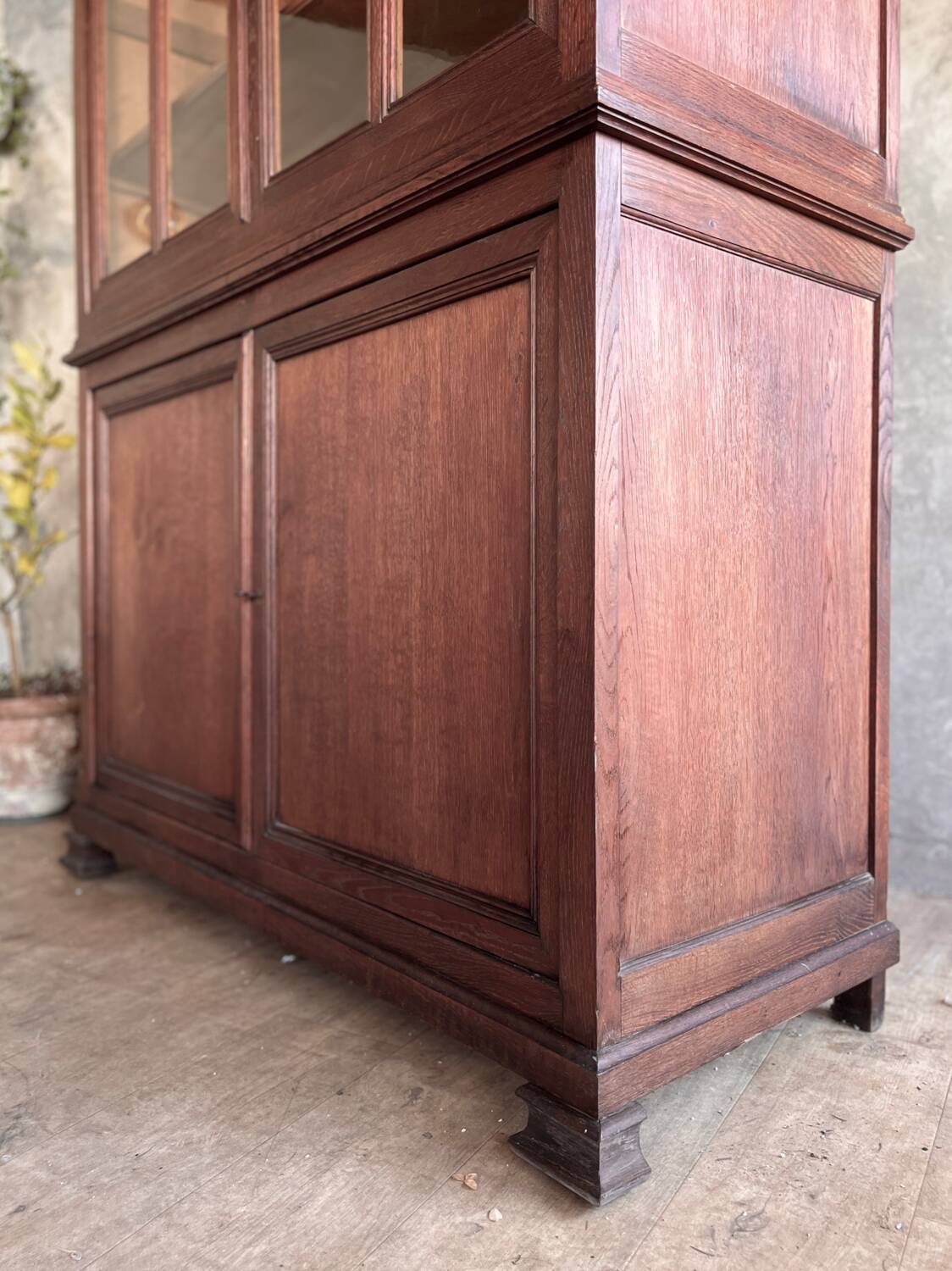 Glass-fronted bookcase
