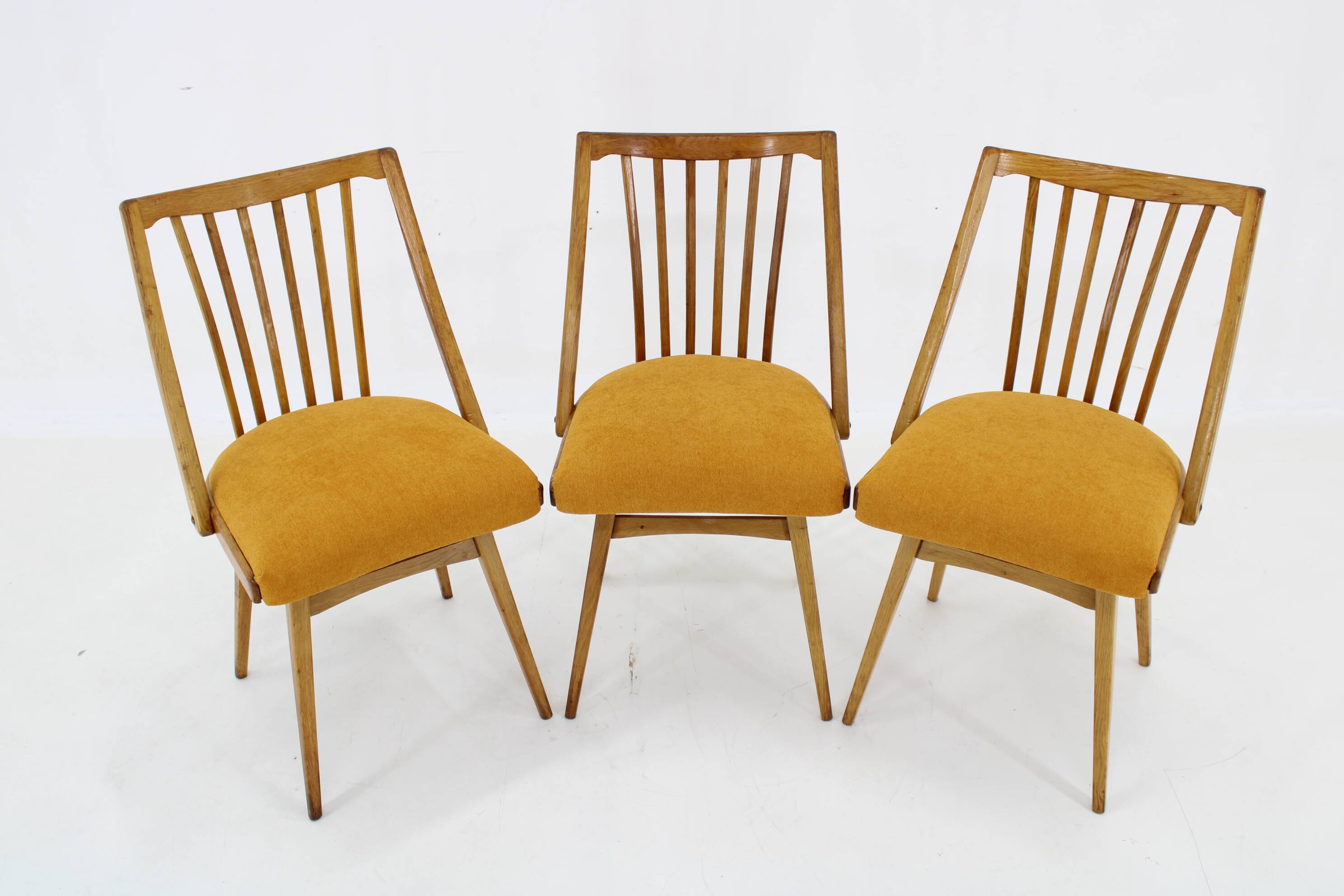1960s Antonin Suman Oak Chair, Set of Three