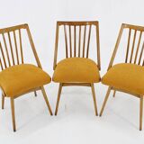 1960s Antonin Suman Oak Chair, Set of Three
