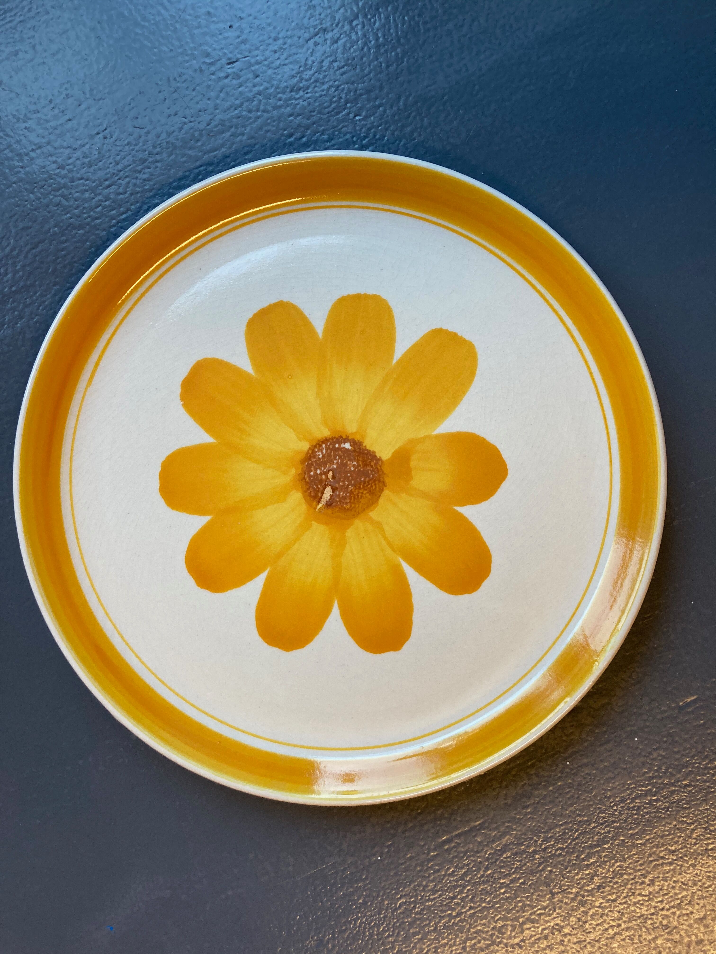 Seven vintage flower power plates