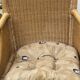 Rocking-chair vintage rotin et teck