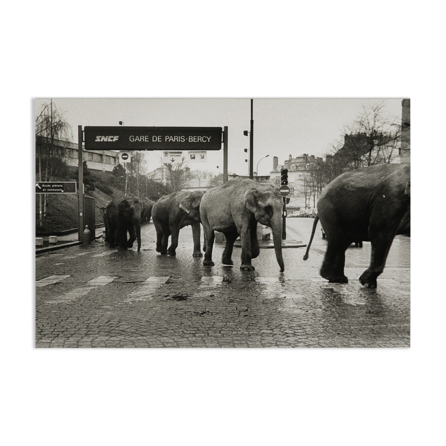 American Circus à Paris 1985