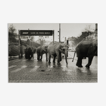 American Circus in Paris 1985