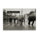 American Circus à Paris 1985