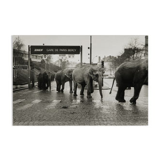 American Circus à Paris 1985