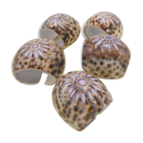 Set of 5 rounds of shell towel