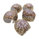 Set de 5 ronds de serviette coquillages