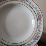 Set of 8 floral design plates | D.R.B. Limoges porcelain