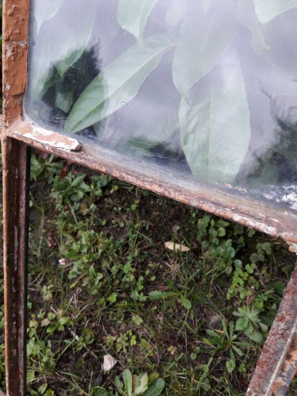 Industrial arched metal windows L73xH110 19th century glass roof