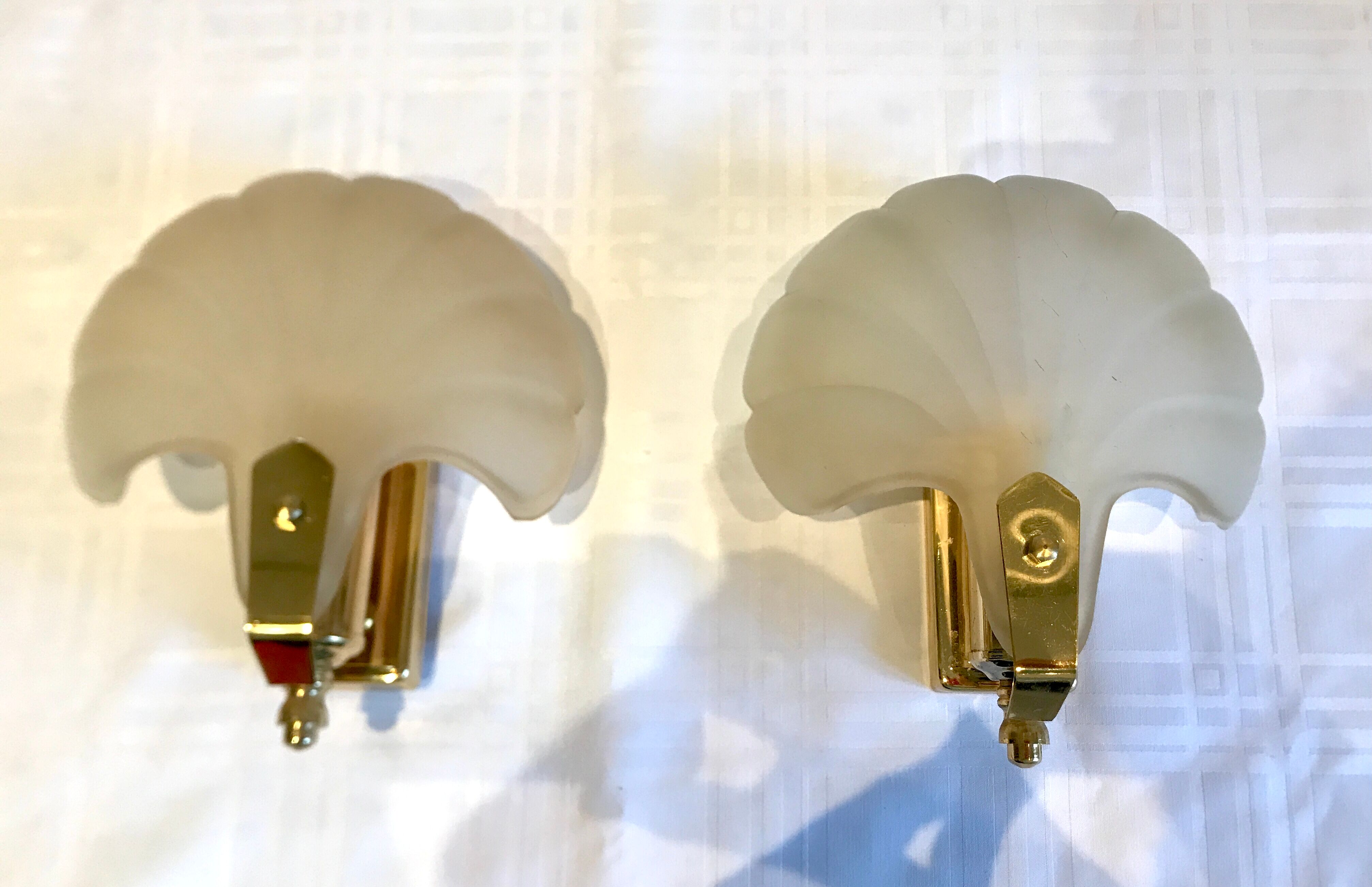 Pair of shell sconces